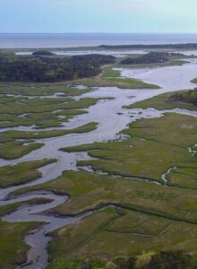 wellfleet ma rentals