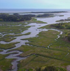 wellfleet ma rentals